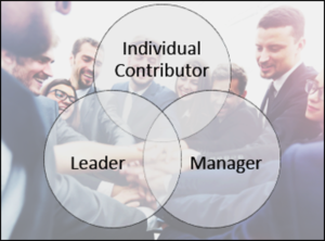 Leadership Integration model