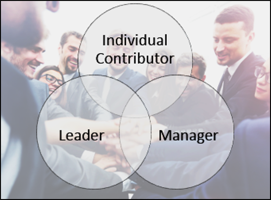 Leadership Integration model